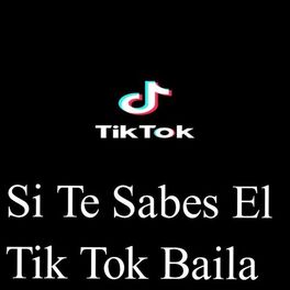 Artist picture of Tik Tok
