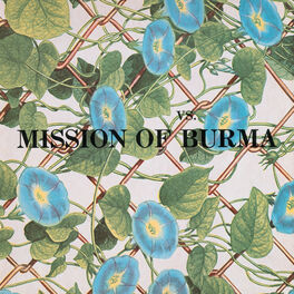 Artist picture of Mission Of Burma