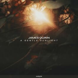James Quinn