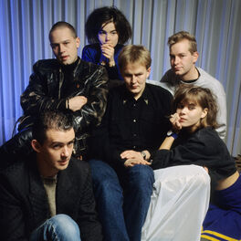 Artist picture of The Sugarcubes