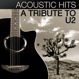 Artist picture of Acoustic Hits