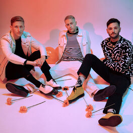 Artist picture of Flawes