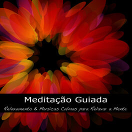 Artist picture of Meditação Maestro