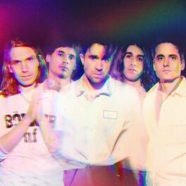 Artist picture of The Vaccines