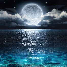 Artist picture of Sleeping Music, White Noise Relaxation, Reading Relaxation