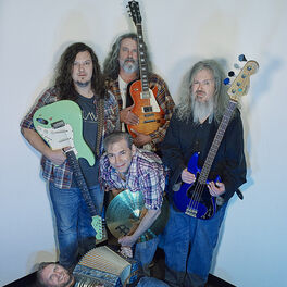 Artist picture of Meat Puppets