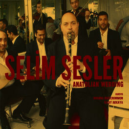 Artist picture of Selim Sesler