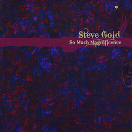 Artist picture of Steve Gold