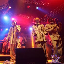 Artist picture of The Congos