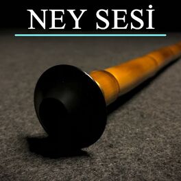 Artist picture of Ney Sesi