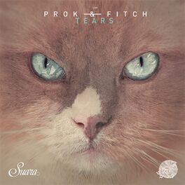 Prok & Fitch