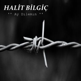 Halit Bilgiç
