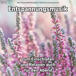 Artist picture of Entspannungsmusik für tiefen Schlaf