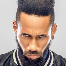 Artist picture of Phyno