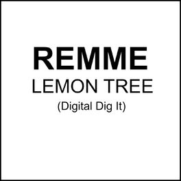 Artist picture of remme