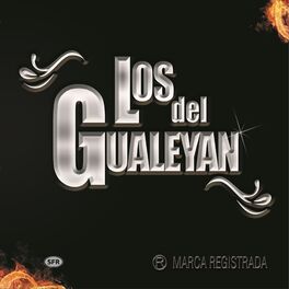 Artist picture of Los Del Gualeyan