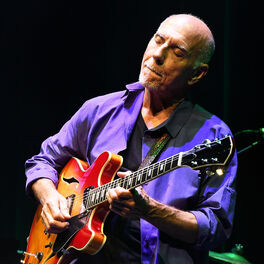 Artist picture of Larry Carlton