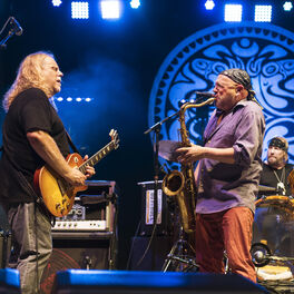 Artist picture of Gov't Mule