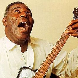 Artist picture of Howlin' Wolf
