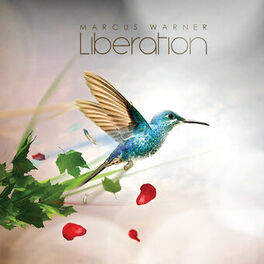 Marcus Warner