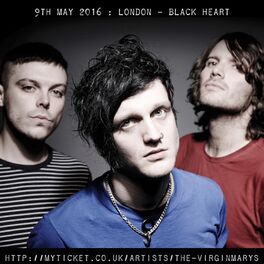 Artist picture of The Virginmarys