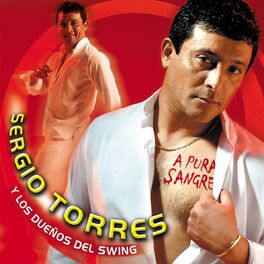 Artist picture of Sergio Torres y Los Dueños Del Swing
