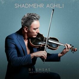 Artist picture of Shadmehr Aghili
