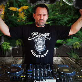 Artist picture of DJ Quicksilver