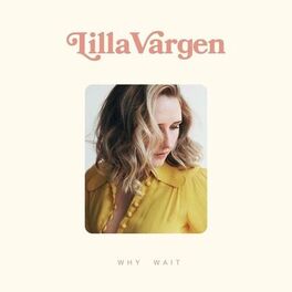 Artist picture of Lilla Vargen
