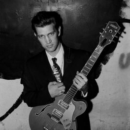 Artist picture of Chris Isaak