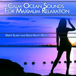 Relaxing Sleep Music Academy: albums, songs, playlists