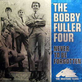 Artist picture of The Bobby Fuller Four