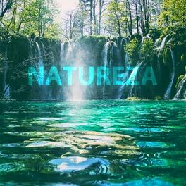 Artist picture of Natureza Relaxante