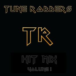 Artist picture of Tune Robbers