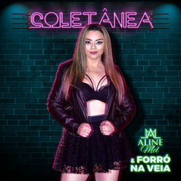 Artist picture of Aline Mel e Forró na Veia