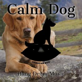 Artist picture of Relaxing Dog Music