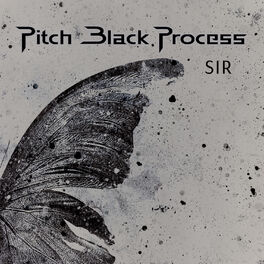 Artist picture of Pitch Black Process