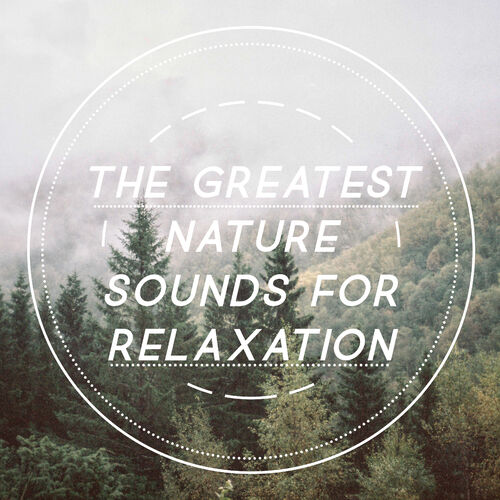 Sounds of Nature White for Mindfulness: albums, playlists | Listen on Deezer