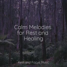 Artist picture of Sleep Songs 101