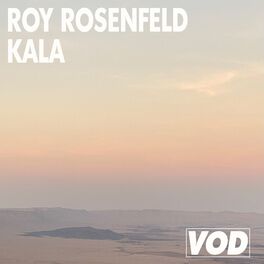 Roy Rosenfeld