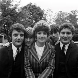 Artist picture of The Honeycombs