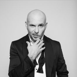 Artist picture of Pitbull