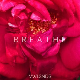 Artist picture of VWLSNDS