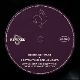 Henrik Schwarz