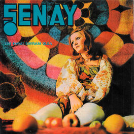 Artist picture of Senay