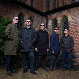 Artist picture of Inspiral Carpets