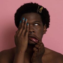 Artist picture of Shamir