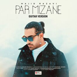 Majid Razavi