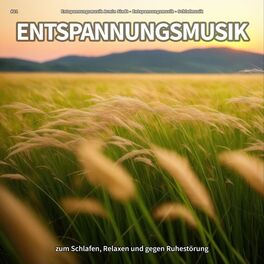 Artist picture of Entspannungsmusik Armin Sindt