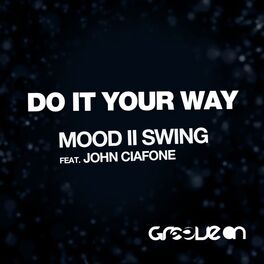 Artist picture of Mood II Swing